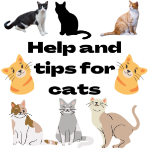 Help and tips for cats